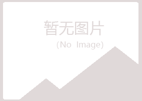 天津白山土建有限公司